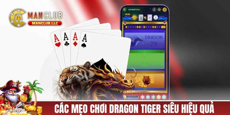 Danh sách các mẹo chơi Dragon Tiger siêu hiệu quả