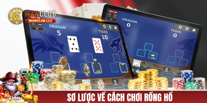 Sơ lược về cách chơi rồng hổ MANCLUB siêu dễ hiểu